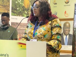 Ghana, Cote d’Ivoire collaborate to manage water resources for common use